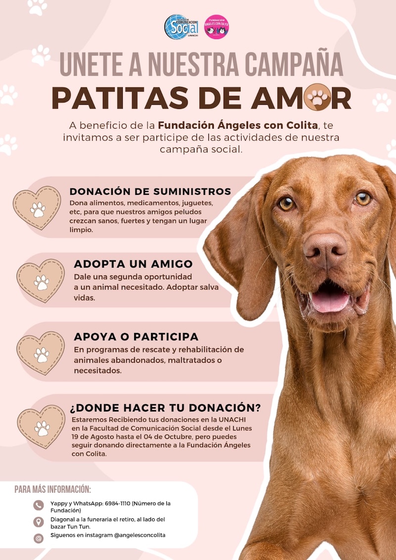 Evidencia Patitas de Amor 2